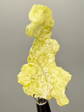 Load image into Gallery viewer, Vibrant Yellow Brucite Thumbnail Mineral Specimen | Collector Crystal from Killa Saifullah District in Balochistan Province, Pakistan
