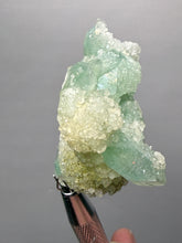 Load image into Gallery viewer, Luminous Mint Apophyllite with Glittering Druzy Sugar Quartz – India
