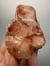 Load image into Gallery viewer, Rare Red Apophyllite Crystal Cluster – High Grade Collector Mineral Specimen | India
