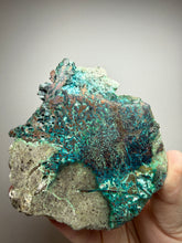 Load image into Gallery viewer, 4” Polished Native Copper in Chrysocolla — Display Specimen (Indonesia)
