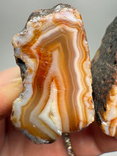 Load image into Gallery viewer, High-Grade Indonesian Sumatra Agate Pair – Vibrant Banded Chalcedony with Rich Color Zoning | Ethical Lapidary &amp; Collector Display Specimens
