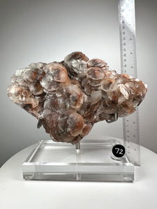 Red Phantom Pagoda Flower Pedal Calcite from Hubei Province, China • High Grade High Shine • Stand Included • Mineral Collector’s Showpiece