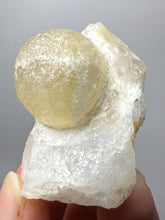 Load image into Gallery viewer, Rare Botryoidal Yellow Fluorite on Quartz Matrix  Collector Mineral Specimen – Maharashtra, India

