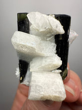 Load image into Gallery viewer, Blue and Green Cap Stak Nala Tourmaline w Double Terminated Quartz on Cleavelandite Matrix – Haramosh Mountains, Pakistan
