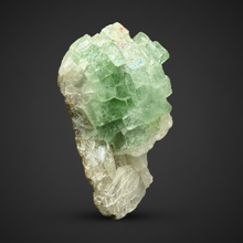 Load image into Gallery viewer, Green Radial “Disco Ball” Apophyllite | Maharashtra, India
