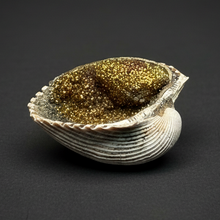 Load image into Gallery viewer, Bivalve (Pelecypoda) Fossil Sea Shell with Chalcopyrite | Mineralized Fossil Specimen | Indonesia
