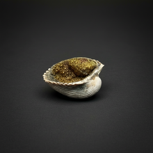 Load image into Gallery viewer, Bivalve (Pelecypoda) Fossil Sea Shell with Chalcopyrite | Mineralized Fossil Specimen | Indonesia
