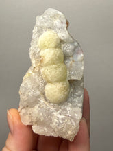 Load image into Gallery viewer, Rare Botryoidal Yellow Fluorite on Quartz Matrix  Collector Mineral Specimen – Maharashtra, India
