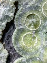 Load image into Gallery viewer, High-Grade Green Wavellite Collectors Specimen - Radiating Botryoidal Crystal Formation - Arkansas, USA
