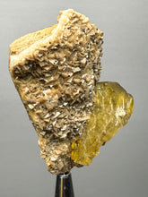 Load image into Gallery viewer, Vibrant Yellow Barite | Collector Display Specimen | Taourirt Mine, Morocco
