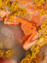 Load image into Gallery viewer, Pink Yellow Red Moroccan Agate | High Atlas Mountains •UNPOLISHED LAPIDARY  SLAB
