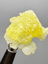 Load image into Gallery viewer, Vibrant Yellow Brucite Thumbnail Mineral Specimen | Collector Crystal from Killa Saifullah District in Balochistan Province, Pakistan
