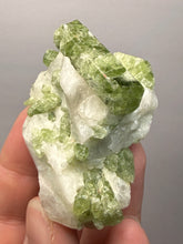 Load image into Gallery viewer, Electric Green Diopside on Quartz – Collector Mineral Specimen (Gilgit-Baltistan) Pakistan
