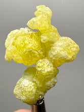 Load image into Gallery viewer, Vibrant Yellow Brucite Thumbnail Mineral Specimen | Collector Crystal from Killa Saifullah District in Balochistan Province, Pakistan
