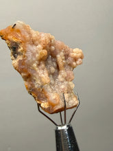 Load image into Gallery viewer, “Goblin Chalcedony” Pink and Red Druzy Botryoidal Stalactites — Tichka Massif, High Atlas, Morocco

