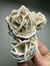 Load image into Gallery viewer, Desert Rose Selenite (Gypsum) — Mineral Display Specimen | Mexico
