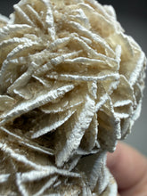 Load image into Gallery viewer, Desert Rose Selenite (Gypsum) — Mineral Display Specimen | Mexico
