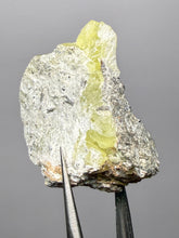 Load image into Gallery viewer, Vibrant Yellow Brucite Thumbnail Mineral Specimen | Collector Crystal from Killa Saifullah District in Balochistan Province, Pakistan
