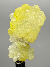 Load image into Gallery viewer, Vibrant Yellow Brucite Thumbnail Mineral Specimen | Collector Crystal from Killa Saifullah District in Balochistan Province, Pakistan
