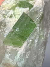 Load image into Gallery viewer, Vibrant Green Tourmaline on Quartz Crystal | Pegmatite Mineral Specimen from Pakistan
