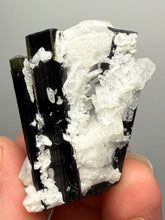 Load image into Gallery viewer, Blue Cap Dark Green Stak Nala Tourmaline on Cleavelandite Matrix – Haramosh Mountains, Pakistan
