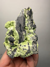 Load image into Gallery viewer, High-Grade Green Wavellite Collectors Specimen - Radiating Botryoidal Crystal Formation - Arkansas, USA
