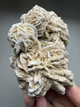 Load image into Gallery viewer, Desert Rose Selenite (Gypsum) — Mineral Display Specimen | Mexico
