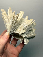 Load image into Gallery viewer, Rare Natural Anhydrite Collector Mineral Specimen | Brazil
