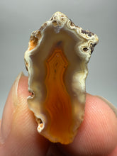 Load image into Gallery viewer, Lot of 9 Small Malawi Agate Halves – Polished Rare Colorful Collector Specimens

