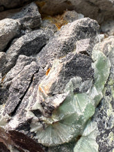 Load image into Gallery viewer, High-Grade Green Wavellite Collectors Specimen - Radiating Botryoidal Crystal Formation - Arkansas, USA
