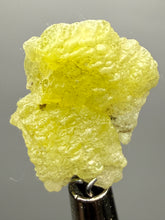 Load image into Gallery viewer, Vibrant Yellow Brucite Thumbnail Mineral Specimen | Collector Crystal from Killa Saifullah District in Balochistan Province, Pakistan
