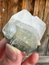 Load image into Gallery viewer, Large Sage Green Garden Apophyllite • Maharashtra, India
