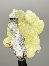 Load image into Gallery viewer, Vibrant Yellow Brucite Thumbnail Mineral Specimen | Collector Crystal from Killa Saifullah District in Balochistan Province, Pakistan
