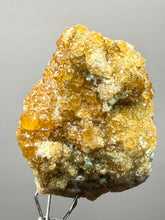 Load image into Gallery viewer, Hessonite Garnet Cluster on Matrix – Natural Collector Specimen from Pakistan | High-Grade Orange-Red Garnet Crystals
