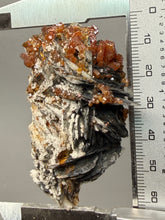 Load image into Gallery viewer, Natural Vanadinite on Matrix | Collector Mineral Specimen | Morocco
