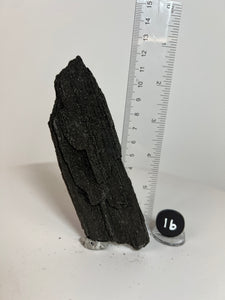 Black Druzy Petrified Wood from Indonesia