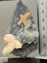 Load image into Gallery viewer, Pink Stilbite Druzy on Botryoidal Blue Chalcedony | High-Grade Mineral Collector Specimen
