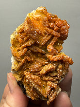 Load image into Gallery viewer, Natural Vanadinite on Matrix | Collector Mineral Specimen | Morocco
