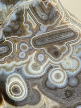 Load image into Gallery viewer, Mystical Turkish Stick &amp; Eye Agate with Intriguing Inclusions – Great Banding and Eyes
