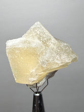 Load image into Gallery viewer, Rare Druzy Golden “Diamond” Calcite on Zeolite Matrix — Maharashtra, India | Collector Cabinet Specimen
