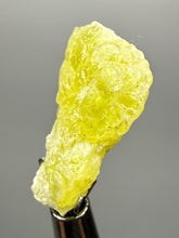 Load image into Gallery viewer, Vibrant Yellow Brucite Thumbnail Mineral Specimen | Collector Crystal from Killa Saifullah District in Balochistan Province, Pakistan
