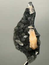 Load image into Gallery viewer, Pink Stilbite Druzy on Botryoidal Black Chalcedony | India | High-Grade Mineral Collector Specimen
