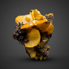Load image into Gallery viewer, High-Grade Orange Wulfenite Collector Display Specimen | La Morita Mine, Chihuahua, Mexico
