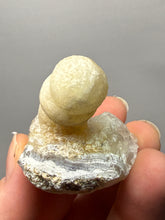 Load image into Gallery viewer, Rare Botryoidal Yellow Fluorite on Quartz Matrix  Collector Mineral Specimen – Maharashtra, India
