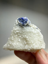 Load image into Gallery viewer, Afghan Lazurite Specimen | Deep Blue Lapis-Grade Crystal on Matrix | Collector Display Mineral
