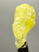 Load image into Gallery viewer, Vibrant Yellow Brucite Thumbnail Mineral Specimen | Collector Crystal from Killa Saifullah District in Balochistan Province, Pakistan
