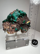 Load image into Gallery viewer, Dioptase Cluster from Congo • High Grade • Mineral Collector’s Specimen Showpiece
