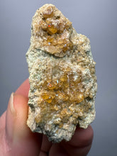 Load image into Gallery viewer, Hessonite Garnet Cluster on Matrix – Natural Collector Specimen from Pakistan | High-Grade Orange-Red Garnet Crystals
