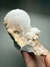 Load image into Gallery viewer, Moroccan Ram’s Horn Selenite (Gypsum) Crystal Display Specimen
