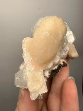 Load image into Gallery viewer, High-Grade Apophyllite on Pink Stilbite Zeolite | Indian Collector Mineral Specimen
